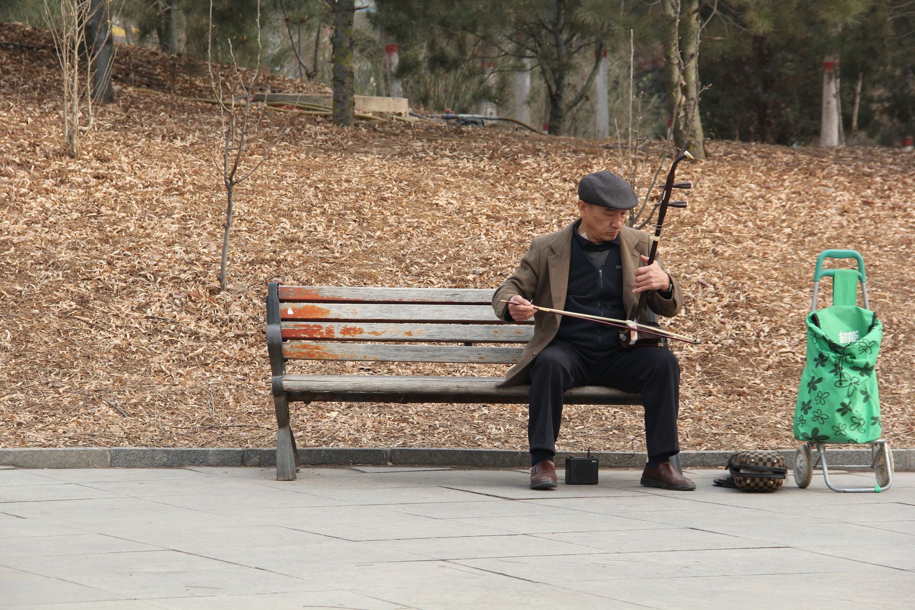 Man playing an erhu, China's two-string violin, sitting on a park bench
