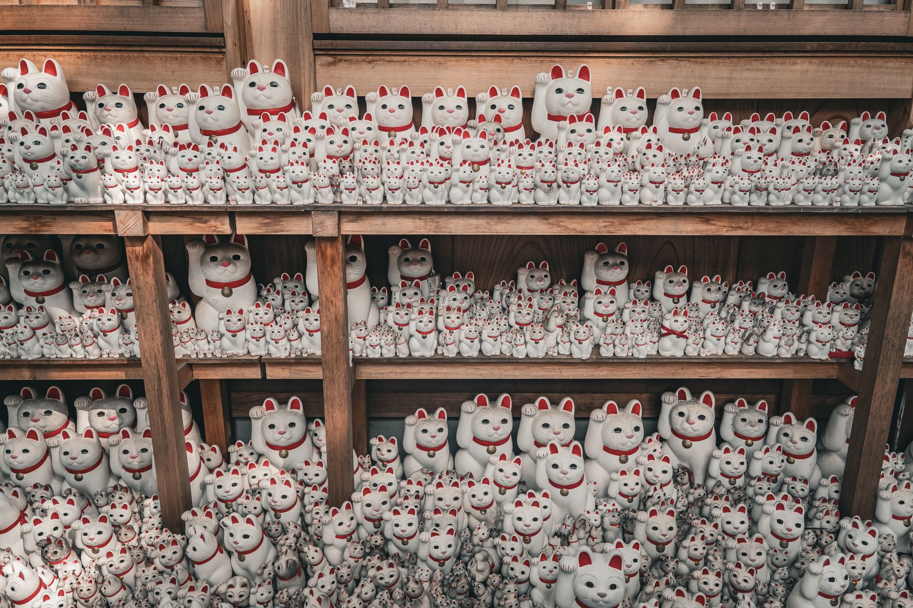 Gatto giapponese kawaii — estetica neko che ispira l'Otamatone Gatto