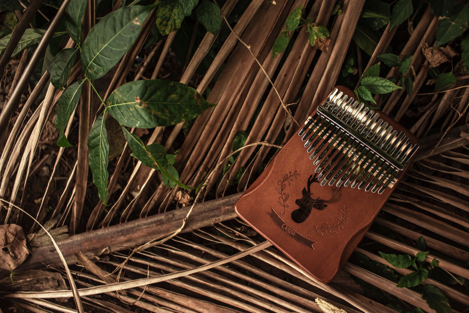 Mbira — idiofono africano de lamas