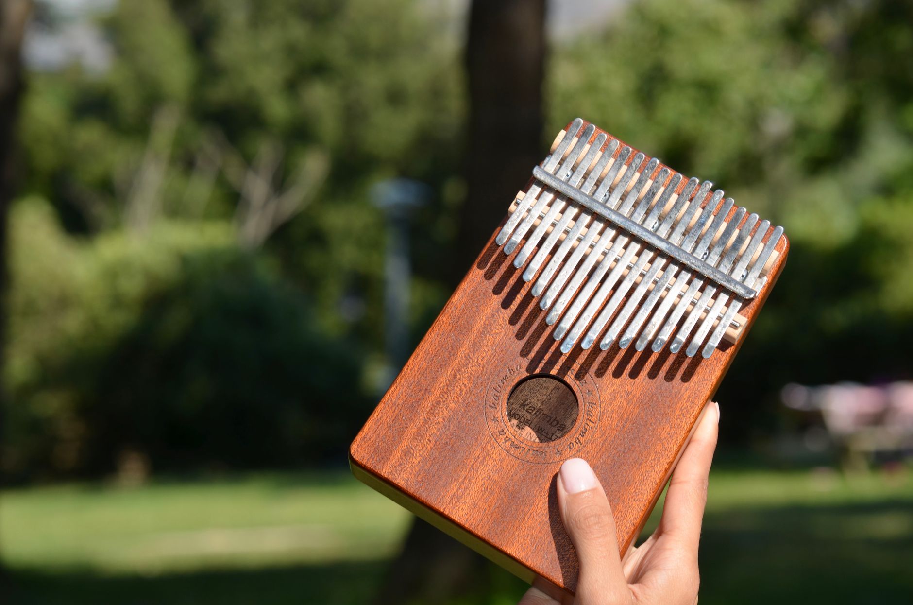 Kalimba de láminas metálicas, uno de los instrumentos raros más fáciles para empezar
